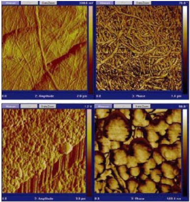 Atomic Force Microscope