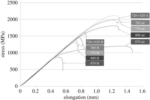 Pitting Corrosion Testing