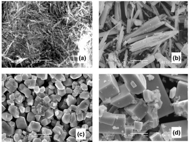 Scanning Electron Microscopy (SEM) Laboratory 2