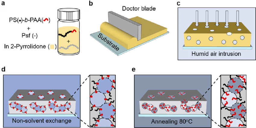 Surface-Phase-Separation